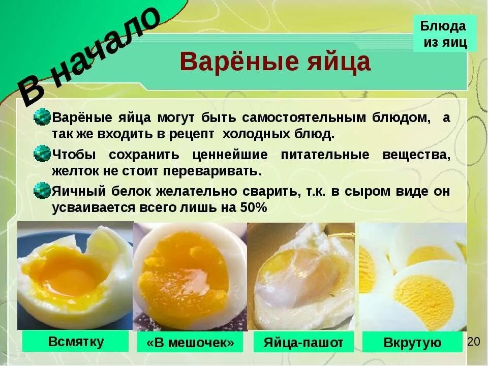 Собакам можно белок или желток. Вареные яйца при запоре. белок в вареном яйце. вареный белок от яйца. сколько переваривается белок яйца.