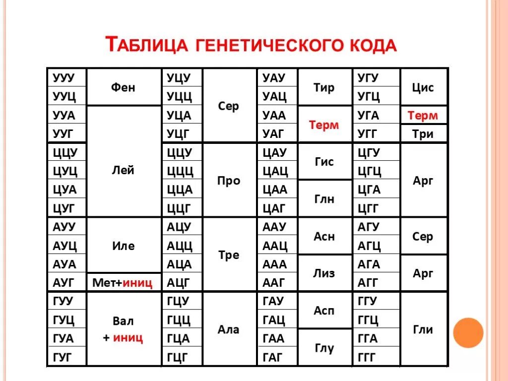 Белковый код. Генетический код таблица биология 10 класс. Таблица генетического кода расшифровка. Таблица генетического кода ИРНК. Таблица генетического кода по биологии 10 класс.