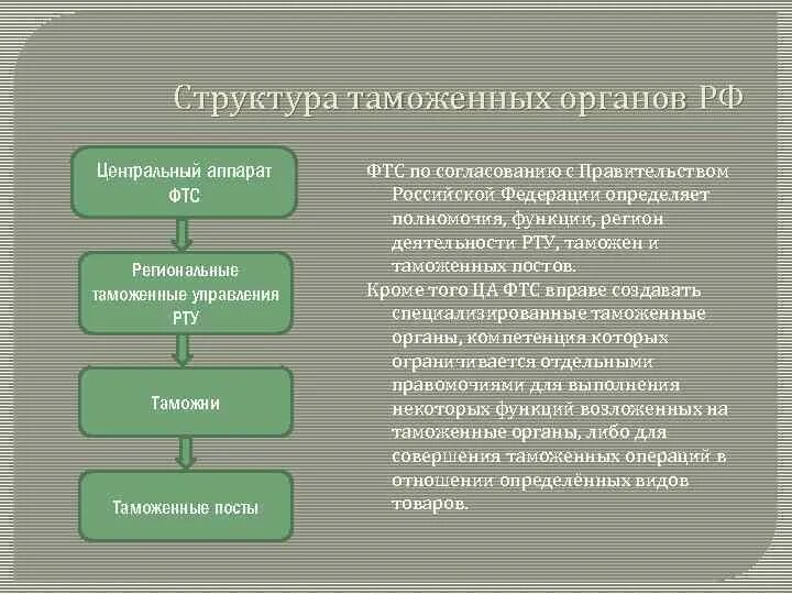 Система таможенных органов РФ ФТС. Структура таможенных органов РФ таблица. Структура таможенных органов России. Структура и полномочия ФТС России.. Цели таможенных органов рф