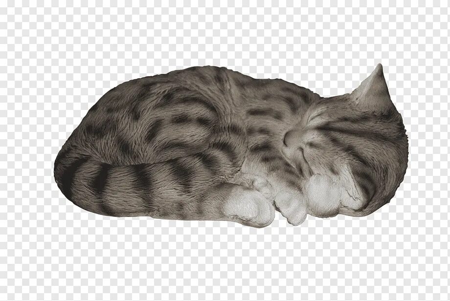Кот лежит выгнуто. Спящий кот. кот лежит. кот лежит на белом фоне.