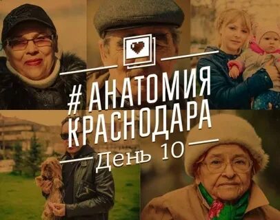 Анатомия краснодар