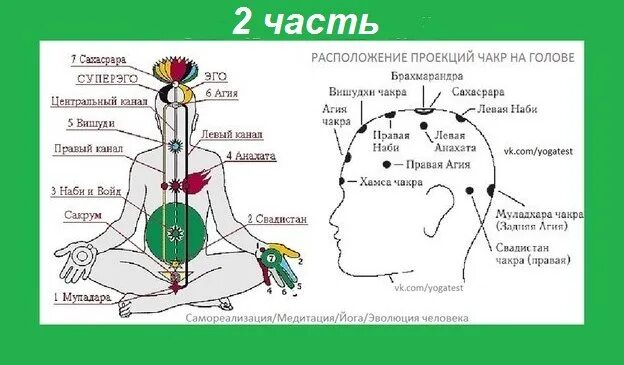 Левый канал звук. Схема чакр Сахаджа йога. Наби чакра. Сахаджа йога энергетические центры. Сахаджа йога Наби чакра.