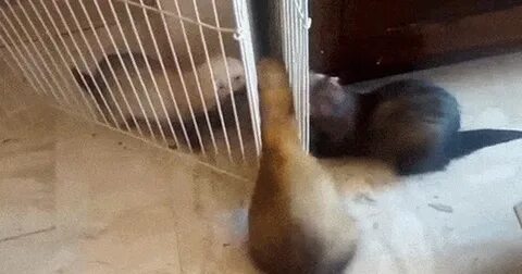 Который застрял