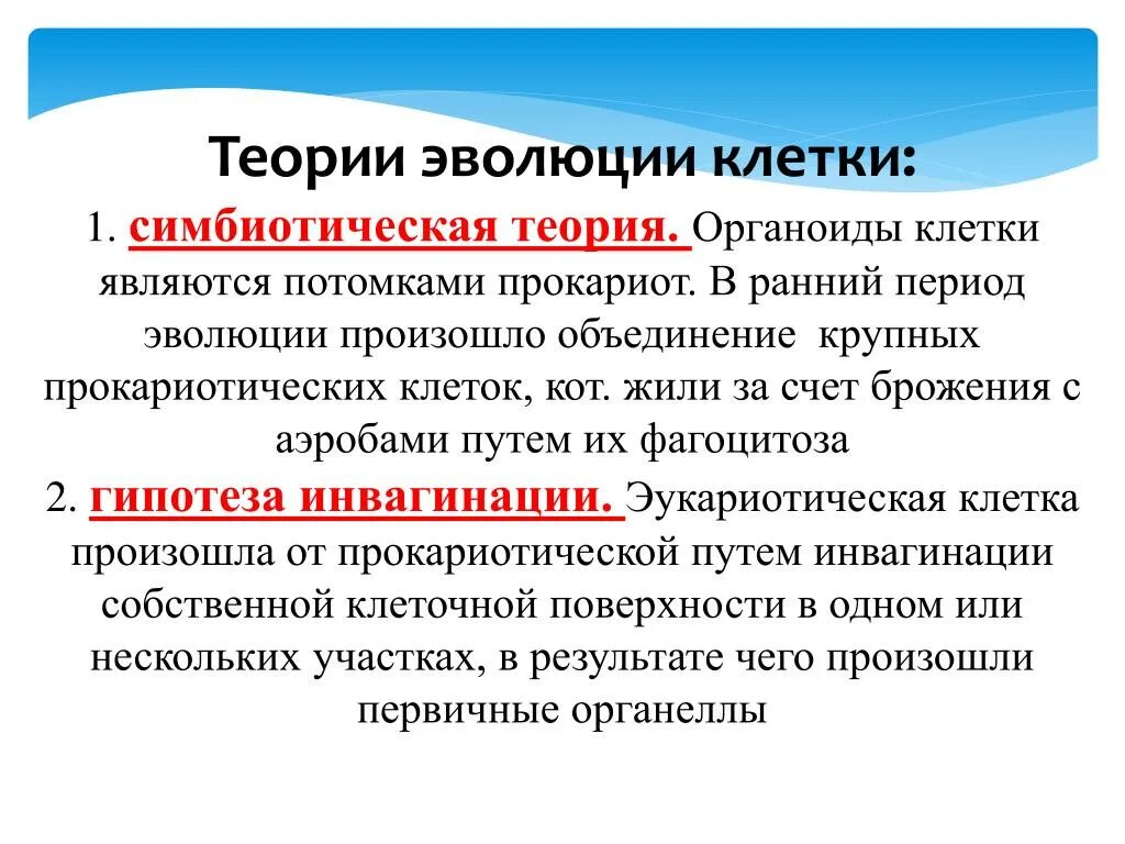 Эволюция эукариотических организмов. Гипотезы происхождения эукариотической клетки. Гипотезы происхождения эукариотических клеток. Гипотезы происхождения эукариот. Теории возникновения эукариот.