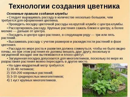 Посадка растений описание