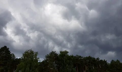 Утром будет пасмурно