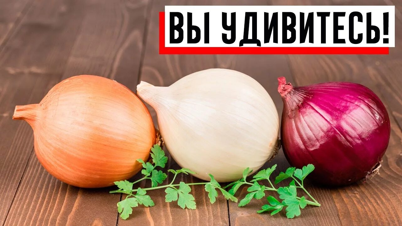 Что положить в лук. Лук. лук репчатый. лук обычный. лук фото.