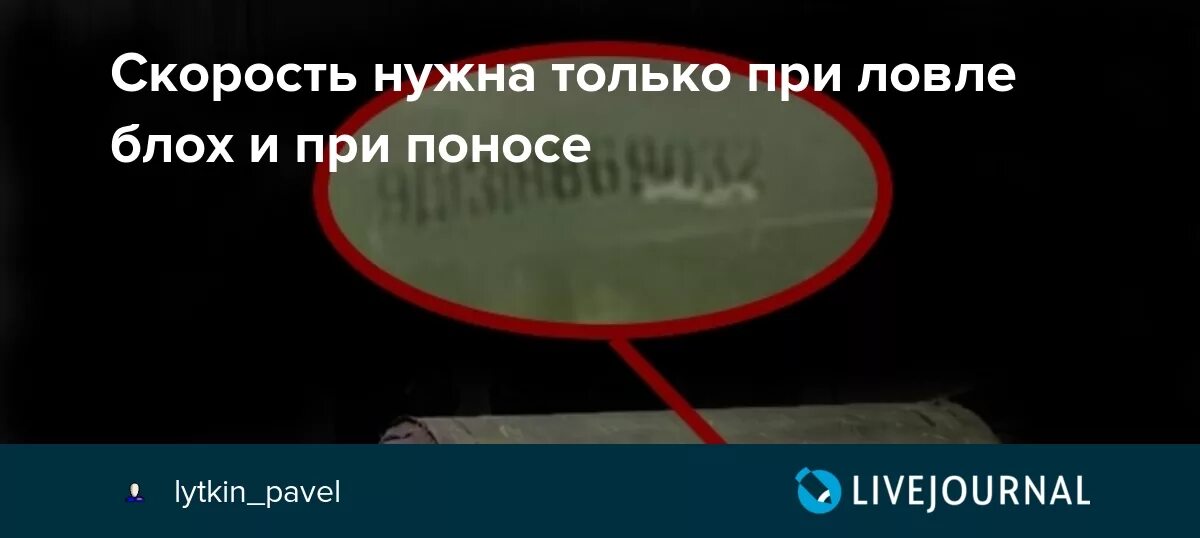 Поговорка Спешка нужна при ловле блох и. Спешка хороша только при ловле блох. Поспешность при ловле блох. Скорость нужна при ловле блох и при поносе. Спешка при ловле блох