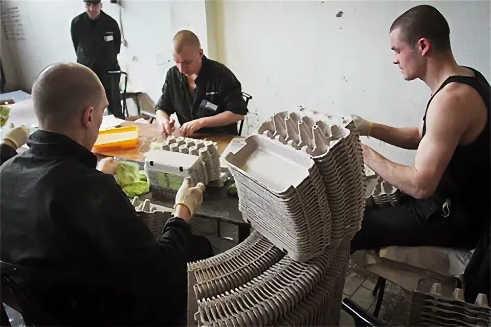 Колония общего режима работа. Исправительная колония строгого режима 12 архангельской области. Колония общего режима работа. Исправительная колония особого режима 29 тольятти. Колония общего режима работа.