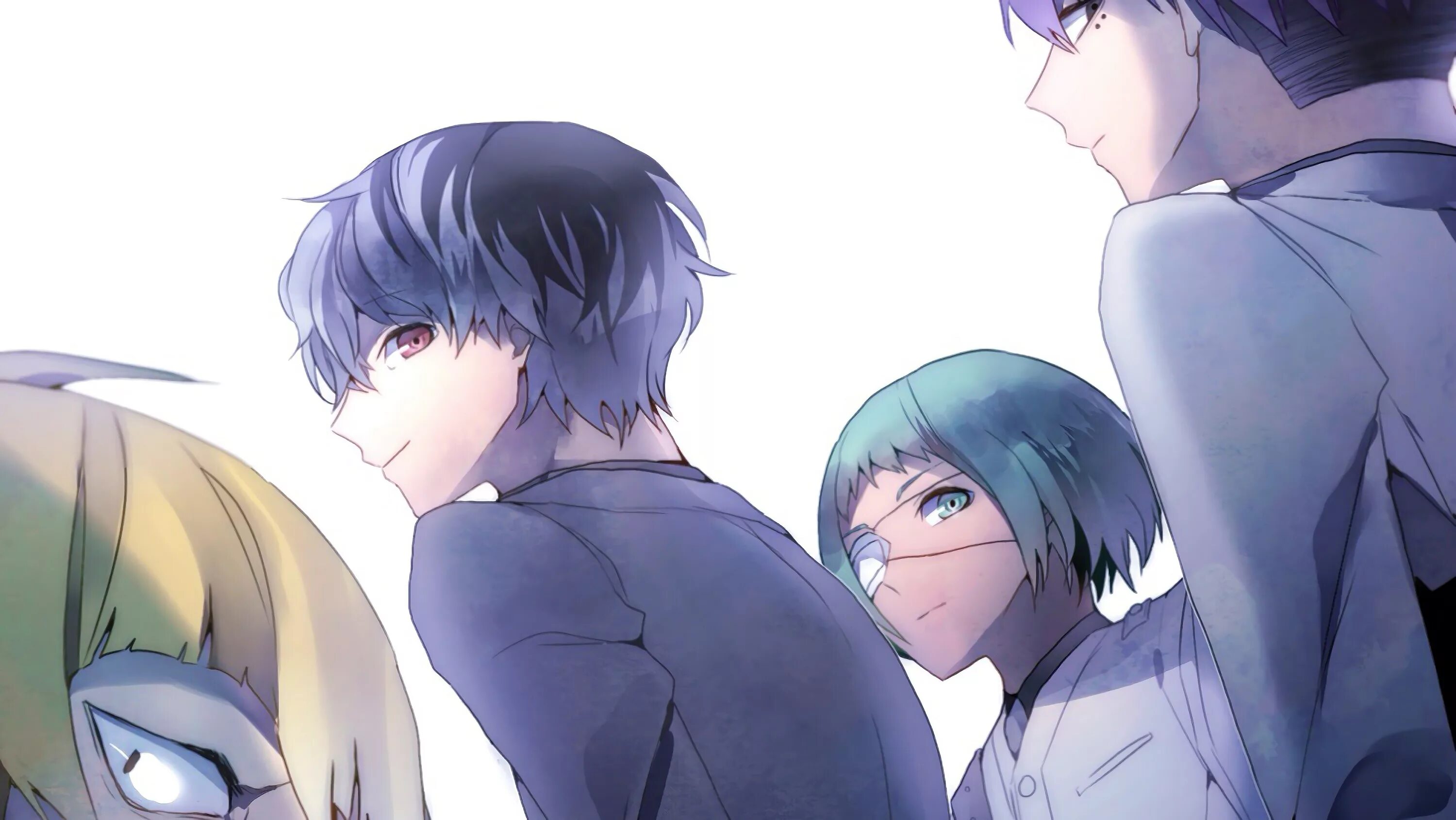 Квинксы токийский гуль. Муцуки и сасаки. Куки ран таймкипер куки. Куки синобу геншин. Синобу геншин импакт.