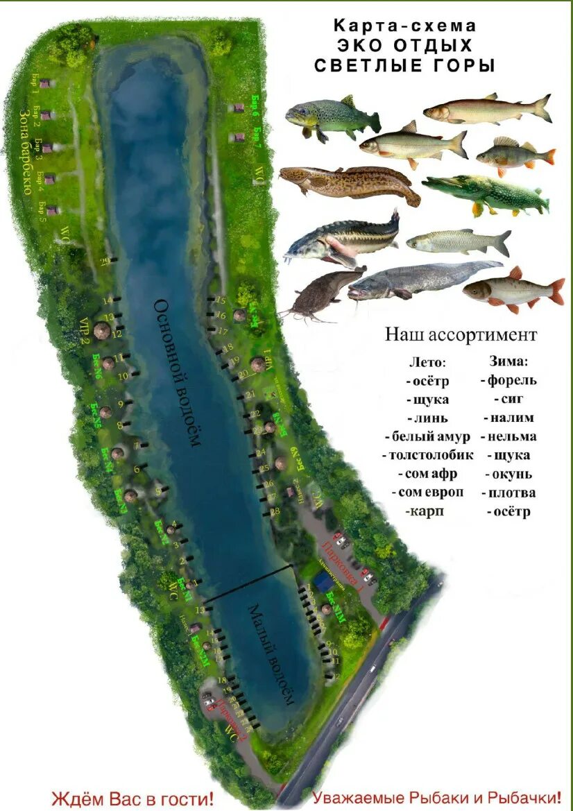 платная рыбалка светлые горы. русфишинг светлые горы. светлые горы. платная рыбалка светлые горы. светлые горы спидкубинг.