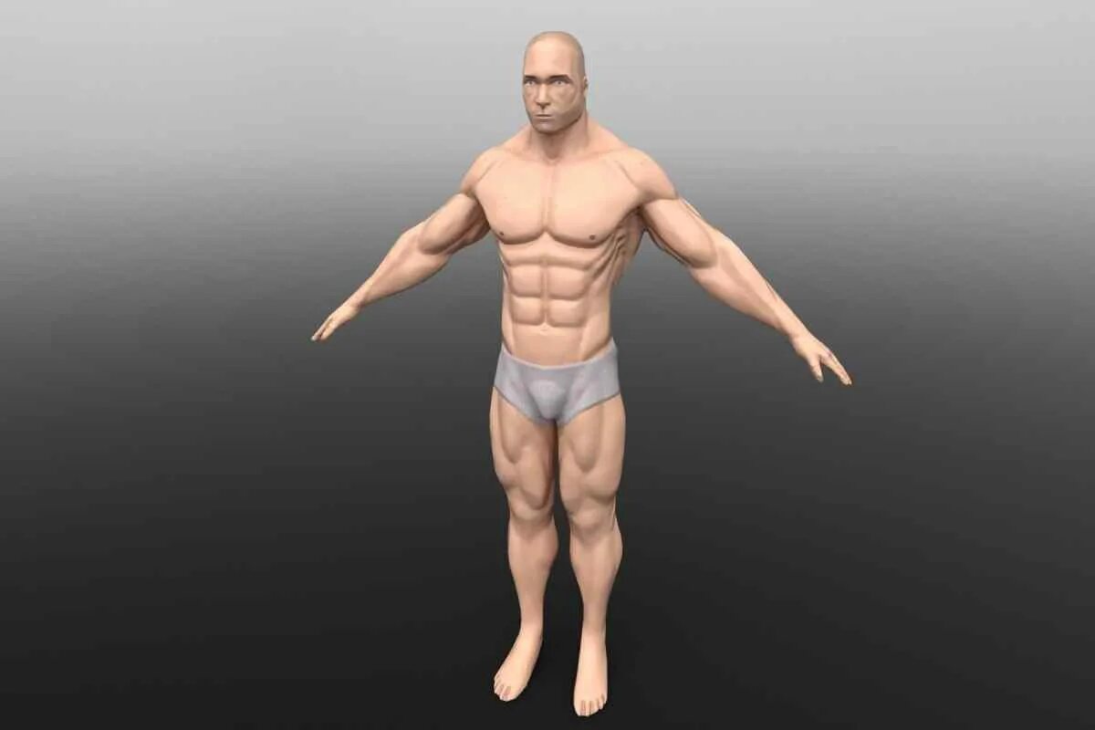 Том человек модель. 3д мэн нпг. модель человека. 3d модель мужчины. 3д модель человека.