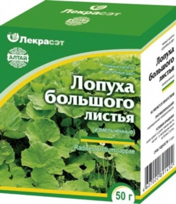 Корень лопуха камелия. Листья лопуха в аптеке. Репейник трава в аптеке. Лопуха корень ф/пак 1,5г№20 бад. Репейник в аптеке.