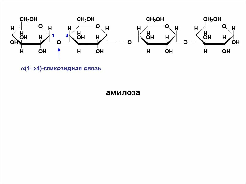 Связь 4 гликозидная. Амилоза Тип гликозидной связи в молекуле. Тип гликозидной связи в крахмале. 1 6 Гликозидная связь в крахмале. Гликозидная связь полисахаридов.