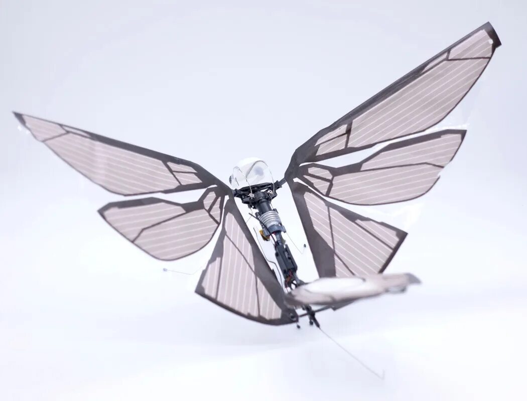 Control wing