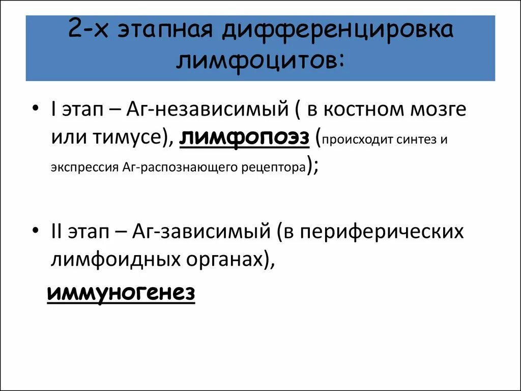 Этапы дифференцировки т лимфоцитов в тимусе. Антигенспецифический иммунный. этапы иммуногенеза. антигенспецифический статус.