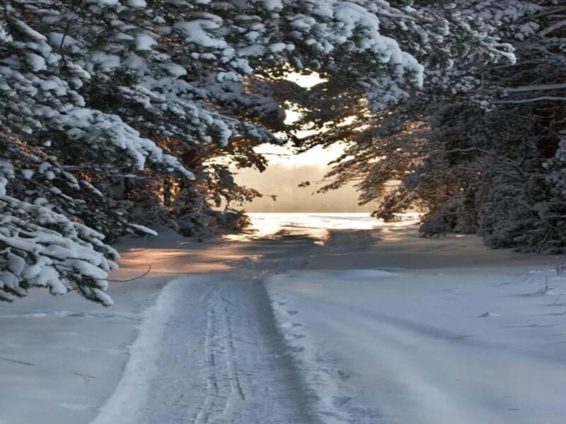 Валит снег и стелет шаль. Пороша есенин. снег пороша. пороша фото. бесконечная дорога убегает лентой вдаль.