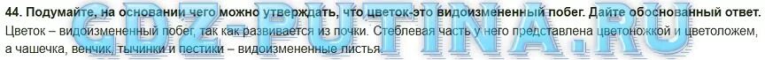 Биология 6 класс стр 101 вопросы. Почему в листьях пеларгонии окаймленной крахмал обнаруживают. Подумайтена основание чего можно утверждаиь,что. Объясните почему в листьях пеларгонии окаймленной крахмал. Почему в зелёной части листа обнаружен крахмал а в белой нет.