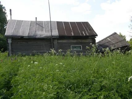 Погода село саввино