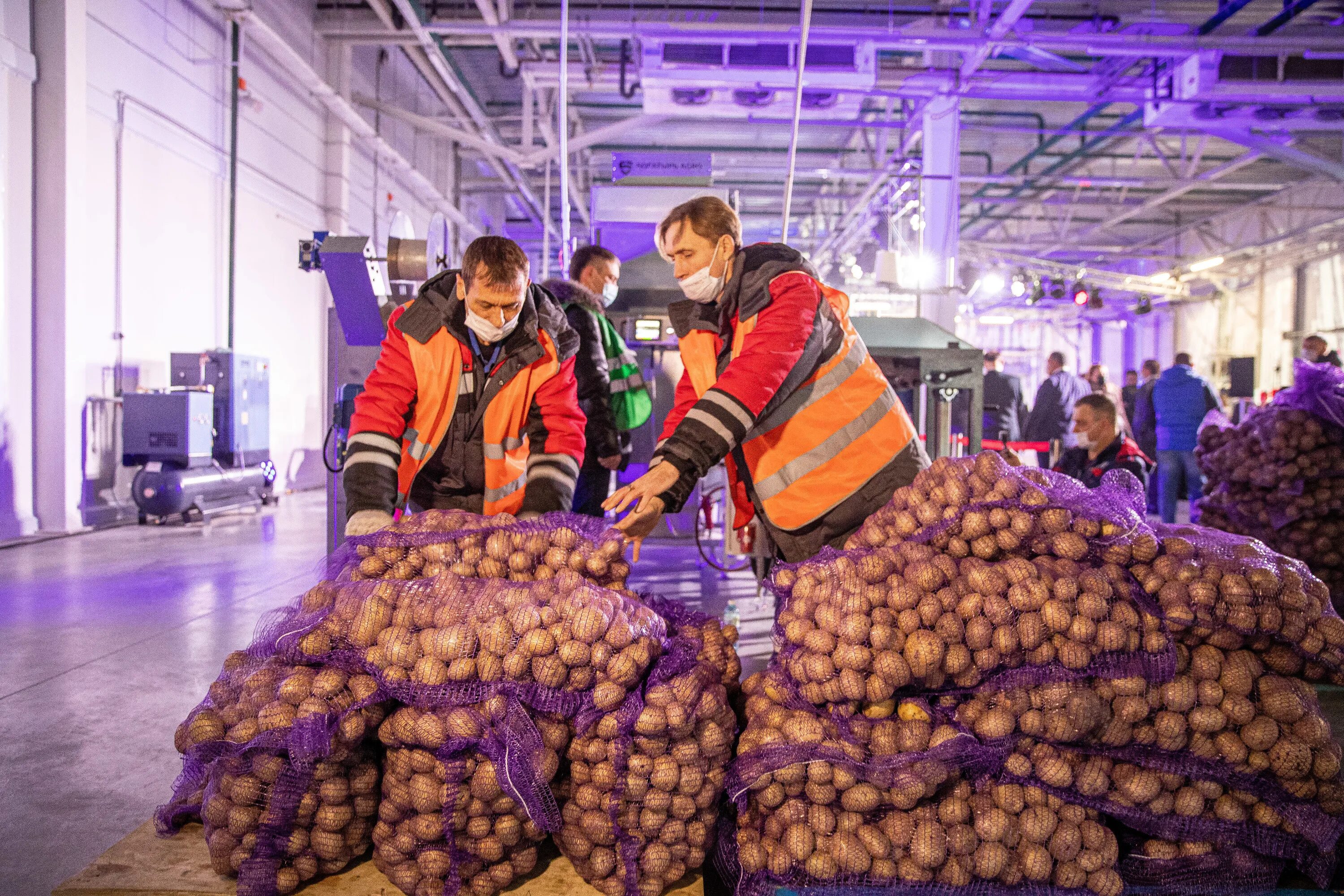 Карстовая воронка, гватемала (2010). Открой гигант. Панцирь глиптодонта. Глиптодонт дарвин. Броненосцев глиптодонтов.