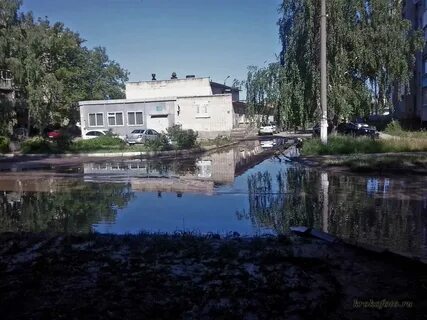 Загс щекино телефон