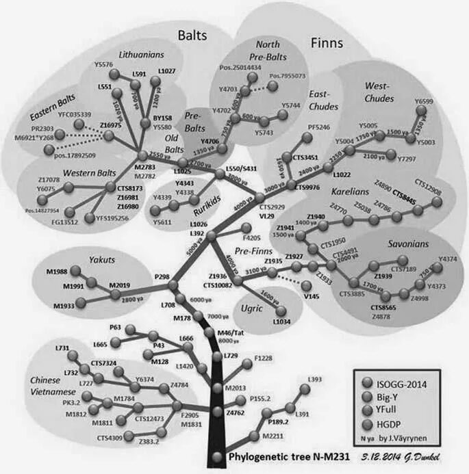 Генетика деревьев. Дерево гаплогруппы r1a. Дерево гаплогрупп y-ДНК человека.