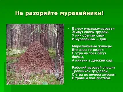 Найдите ситуацию которая иллюстрирует деятельность муравьи строят