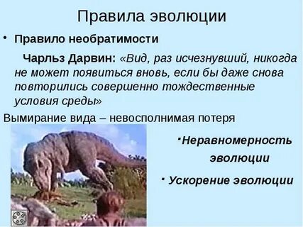Эмпирическим правилом эволюции групп организмов является