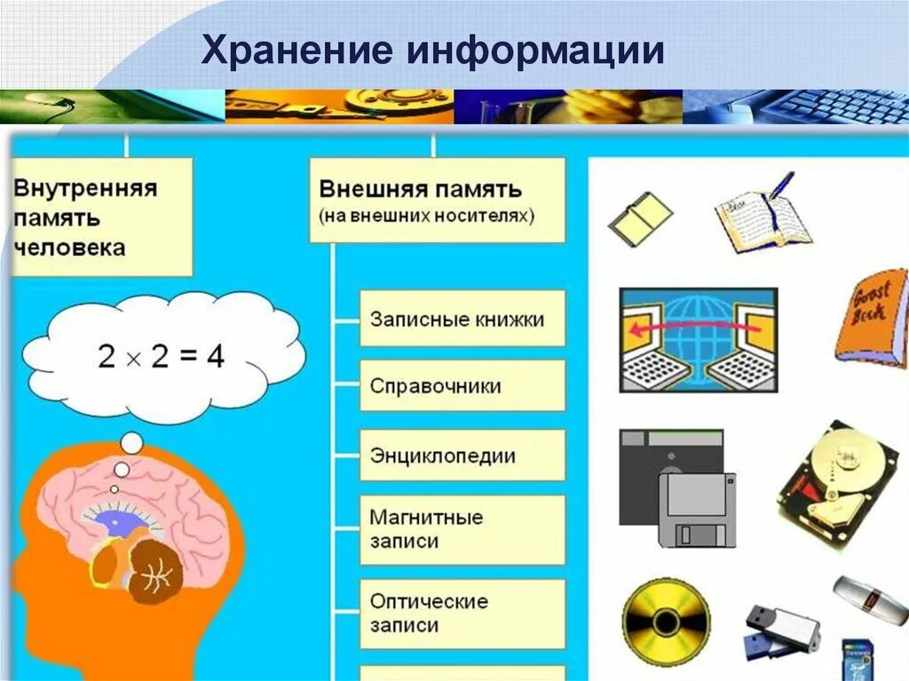 Виды информации 8 класс. Схема информационные процессы 7 класс информатика. хранение информации. хранение информации это в информатике. внешняя память человека.