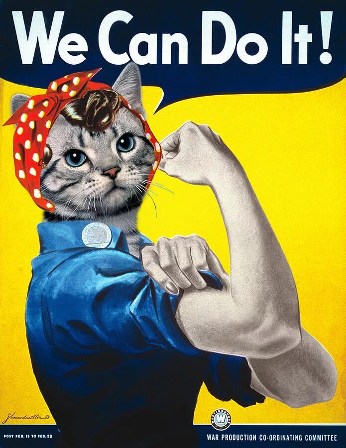 We cant do it. You can do it картинка. Плакат в стиле we can do it. We can t go. We can t go.