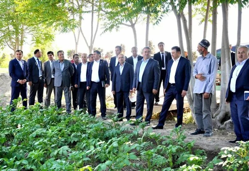 Погода в дж балхи. Погода в дж балхи. Джалолиддин балхи хатлонская область. Погода в дж балхи. Город балх афганистан.