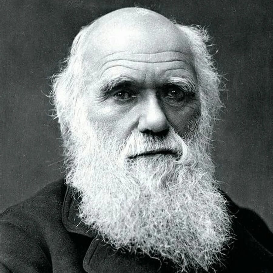 Дарвин это