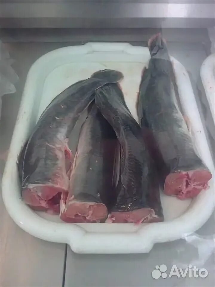 Как выглядит рыба кларий Сом мраморный потрошеный купить фермерские продукты с доставкой на дом от Андр