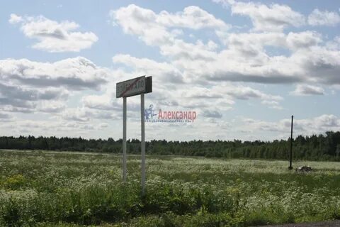 Войбокало рыбацкое