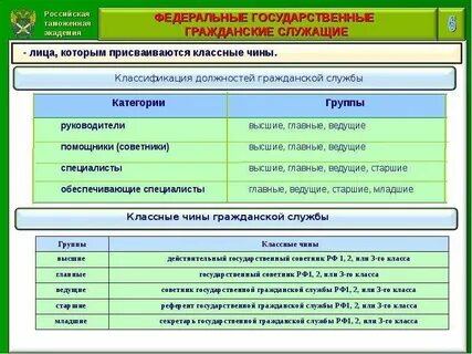 Таможенные должности