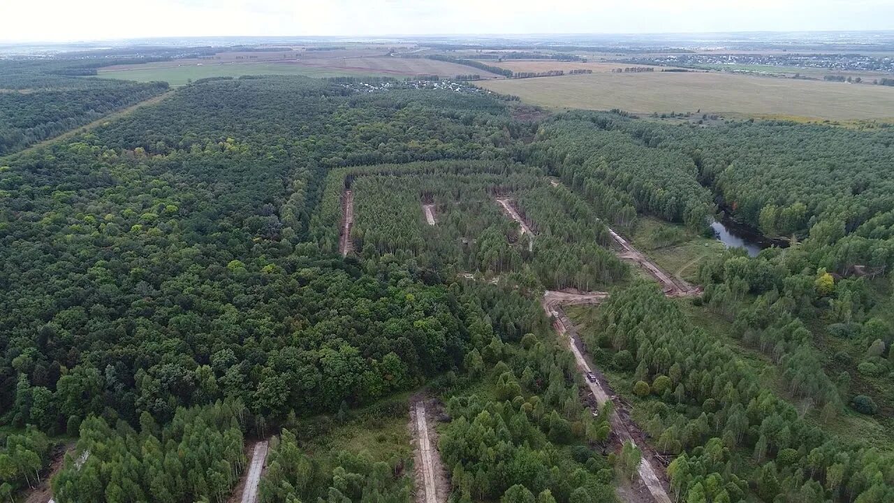 полтево форест. маннергейм форест коттеджный поселок. усадьба соколово пятницкое шоссе. кп соколово форест. экофорест коттеджный поселок купить.