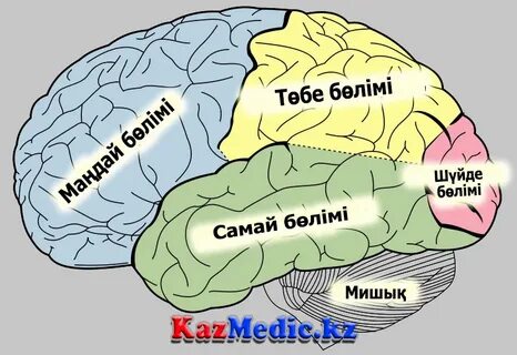 Жалаңаш диджей Лиза