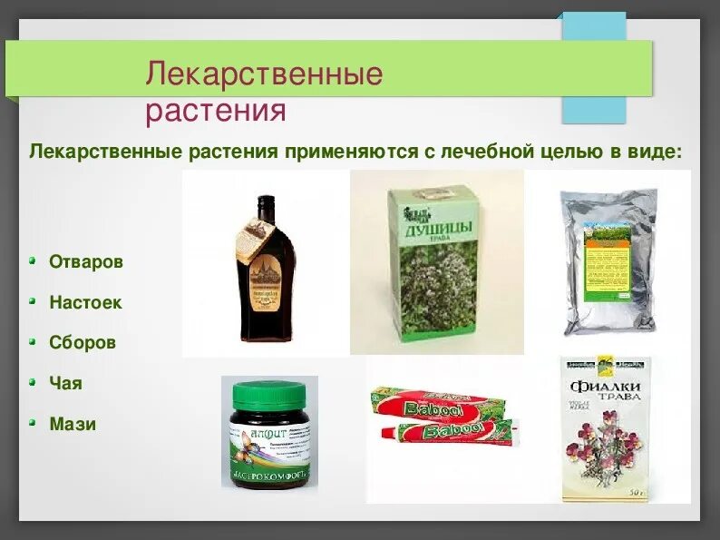 Растительные препараты применение