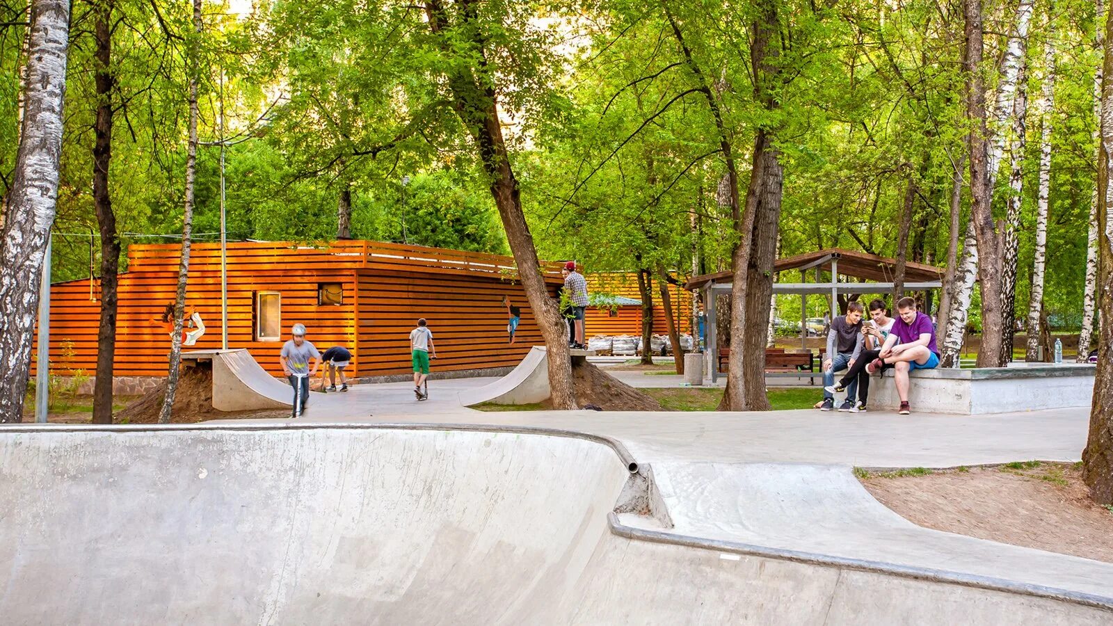 Парк Лианозово. Лианозовский ландшафтный парк. Скейт парк в Лианозовском парке. Лианозовский парк Москва.