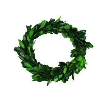 Зелень круглая