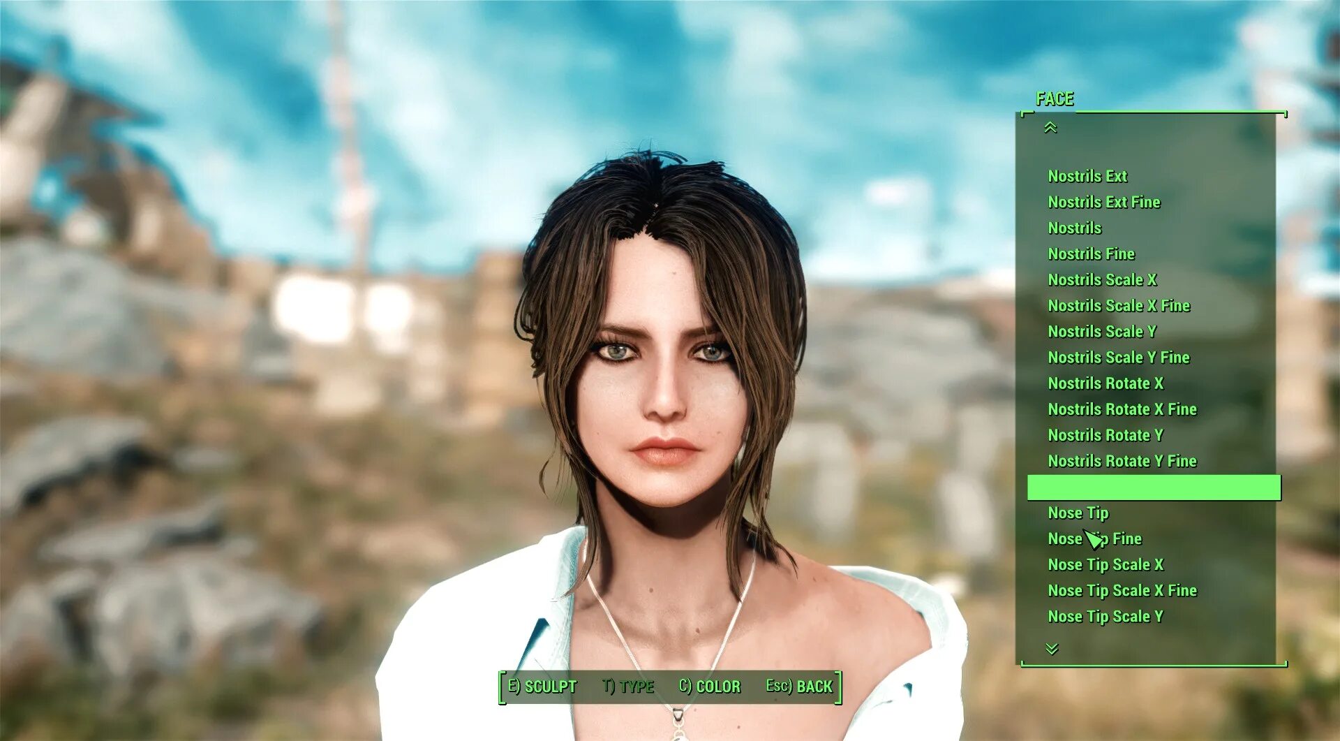 Fallout 4 как установить моды. Пресет мила fallout 4. фоллаут 4 looks menu пресеты. пресет алита в фоллаут 4. fallout 4 пресеты лиц для looks menu.