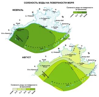 Берингово температурный режим