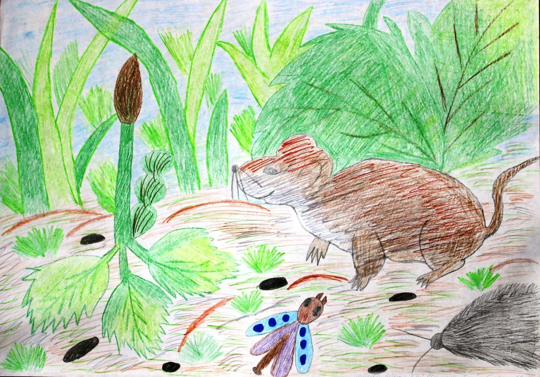 Как муравьишка домой спешил рисунок. "мышонок пик". В. Бианки приключения муравьишки иллюстрации. Рисунок к рассказу хвосты бианки.