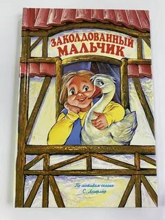 Заколдованный мальчик качества