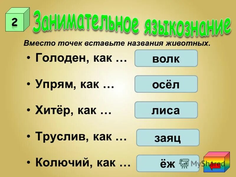 Голоден как ответы