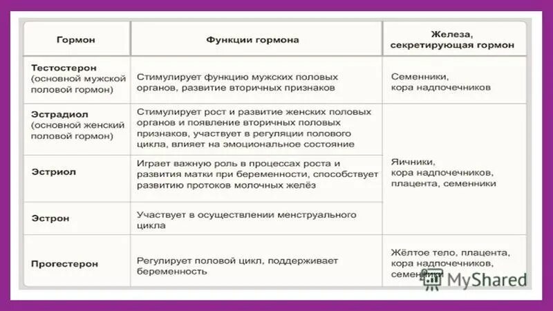 Половые железы гормоны. Функции половых желез. Половые железы гормоны и их функции. Название гормона половых желез. 2 женские половые железы