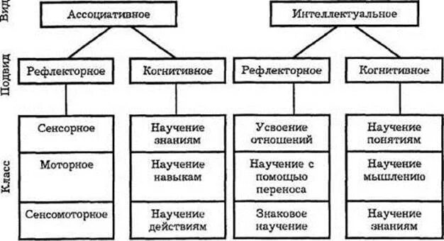 Уровни научения. Типы научения Шадриков. Типы научения в психологии. Виды научения схема. Виды ассоциативного научения.