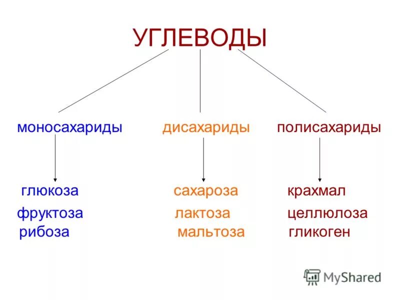 Глюкоза сахароза фруктоза рибоза крахмал