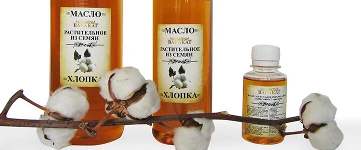 Хлопковое масло полезные. Хлопковое масло для готовки. Хлопковое масло. Масло семян хлопка. Хлопковое масло польза.