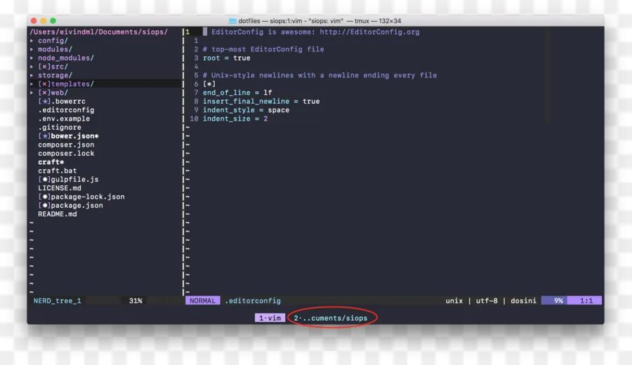 Среда разработки javascript. Текстовый редактор в ide. vim среда разработки. ide это в программировании. javascript среда разработки.